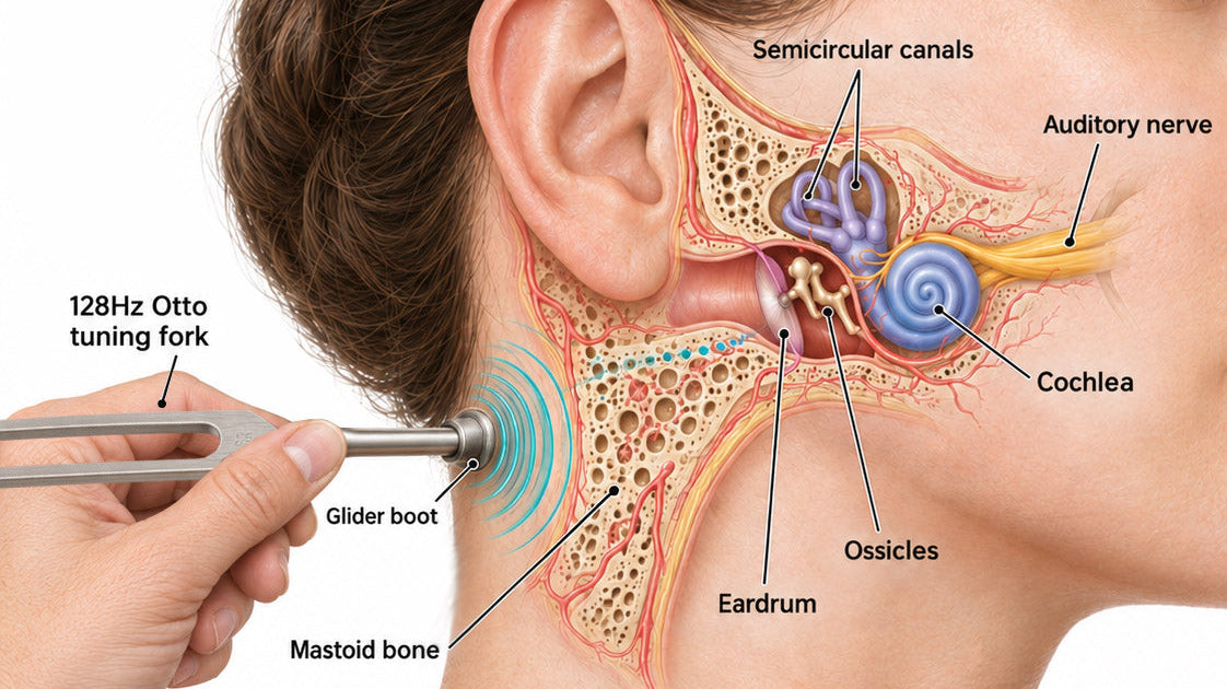 Can a 128Hz Tuning Fork Help Tinnitus? Research & Theory