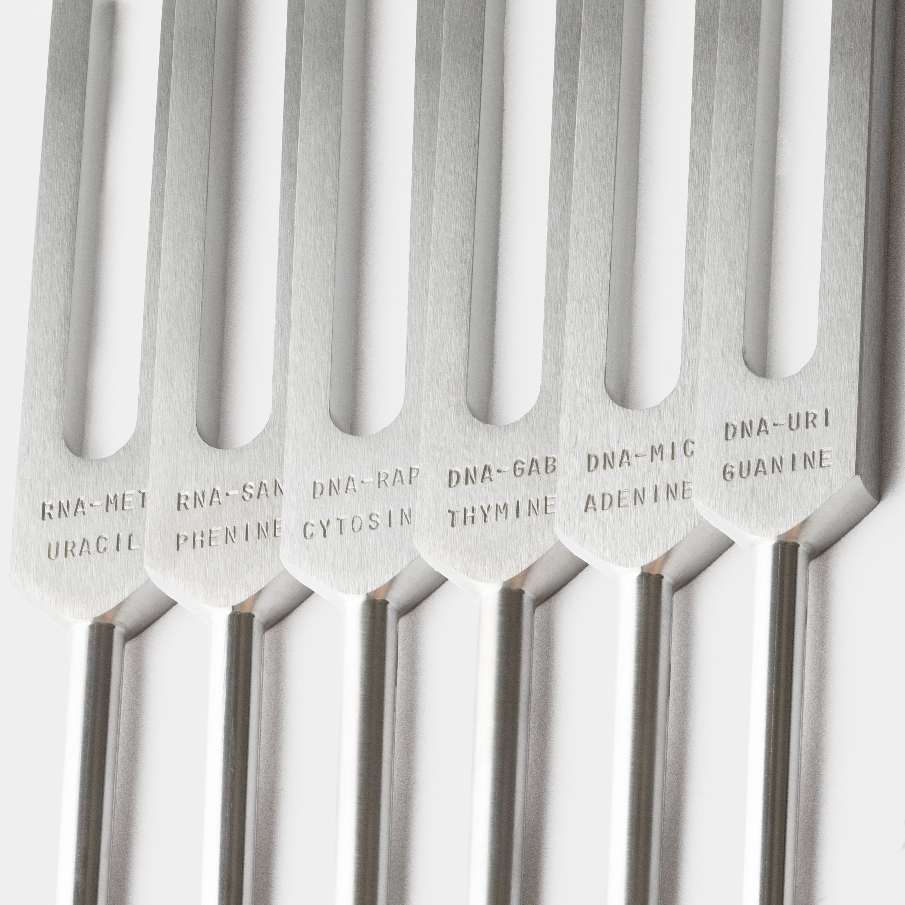 Phase Three Training: DNA/RNA Ancestral Release