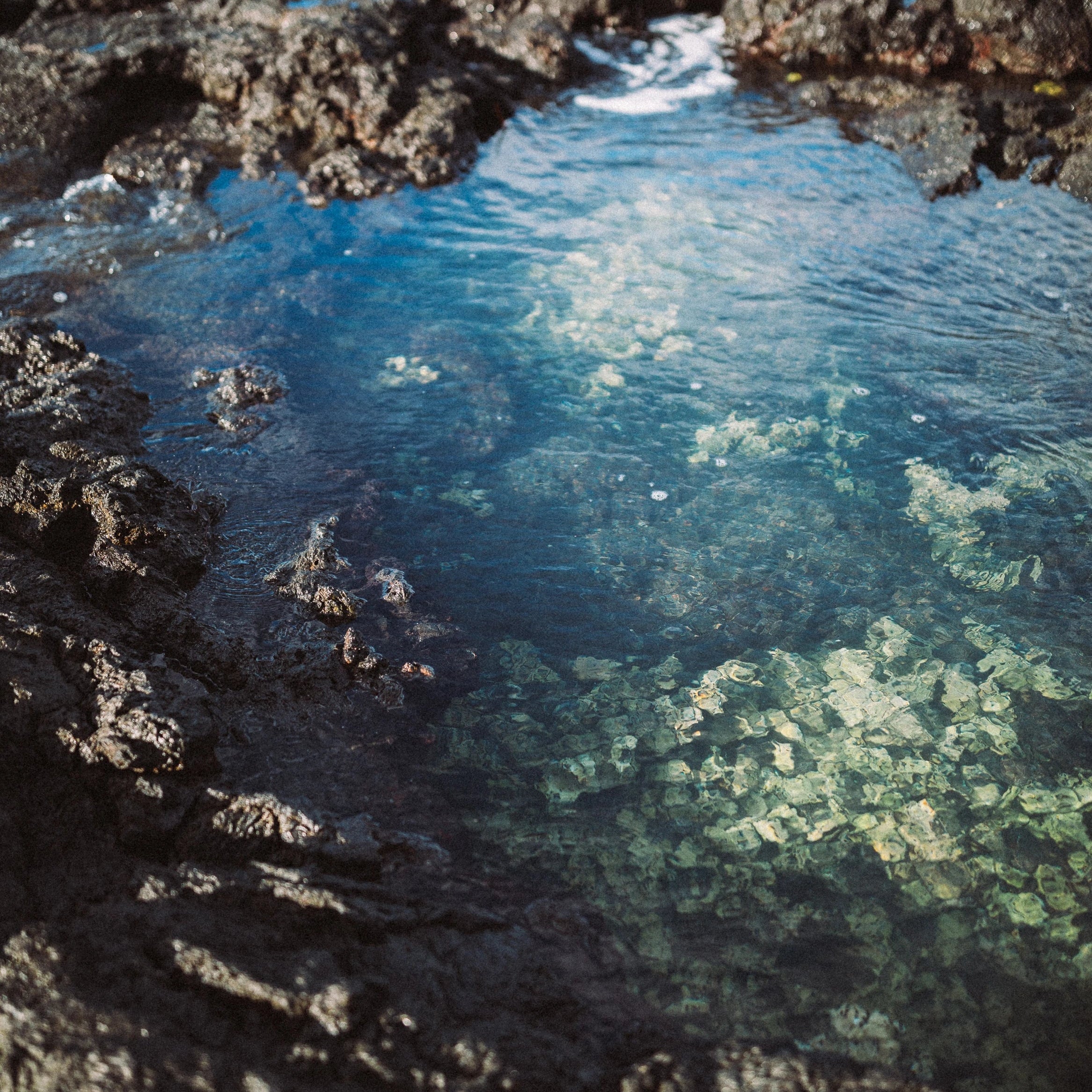 CD's, Books, and Audio Collections