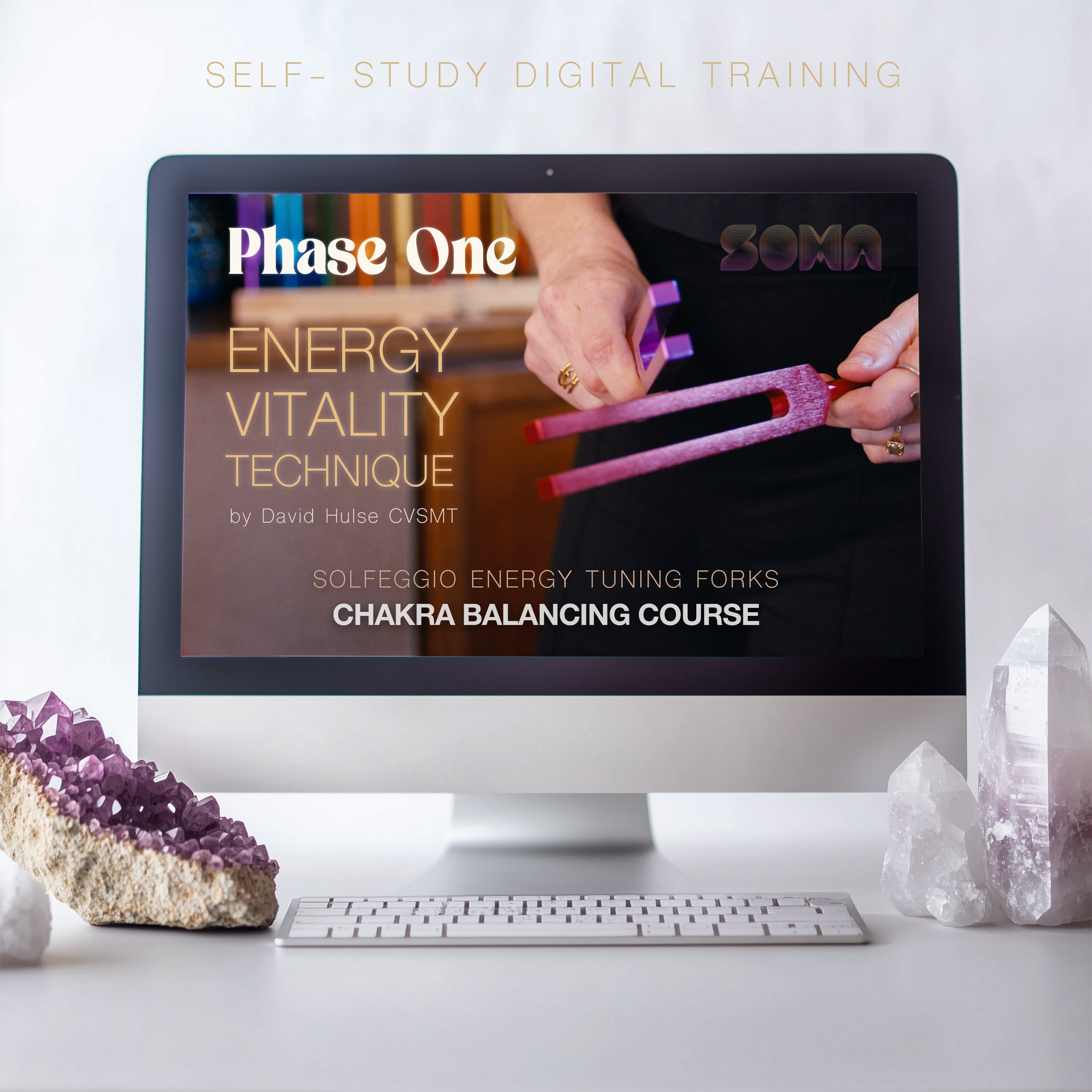 Phase one Energy Vitality Technique image of course on a computer screen, representing the online course.