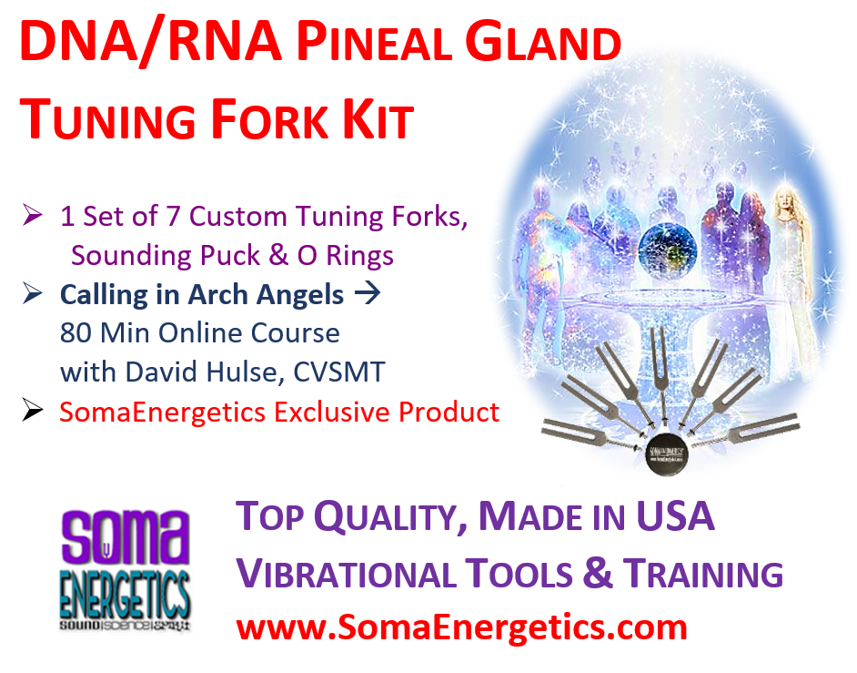 T3B - DNA/RNA Tuning Fork Kit with Angels Course