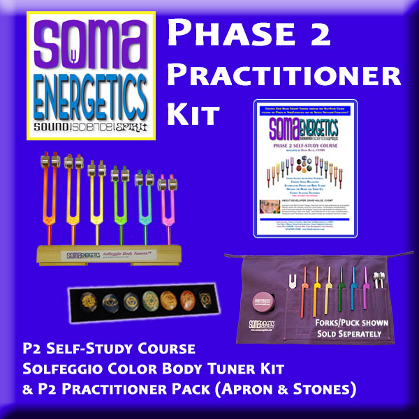 T2E: P2 Practitioner Kit  - Phase 2 Starter Kit and P2 Practitioner Pack