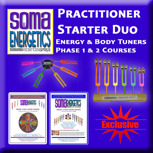 T4E: Practitioner Duo Deluxe Kit: Practitioner Duo and Practitioner Pack Duo