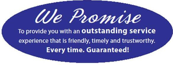 SomaEnergetics Promise: Quality, Caring and Integrity