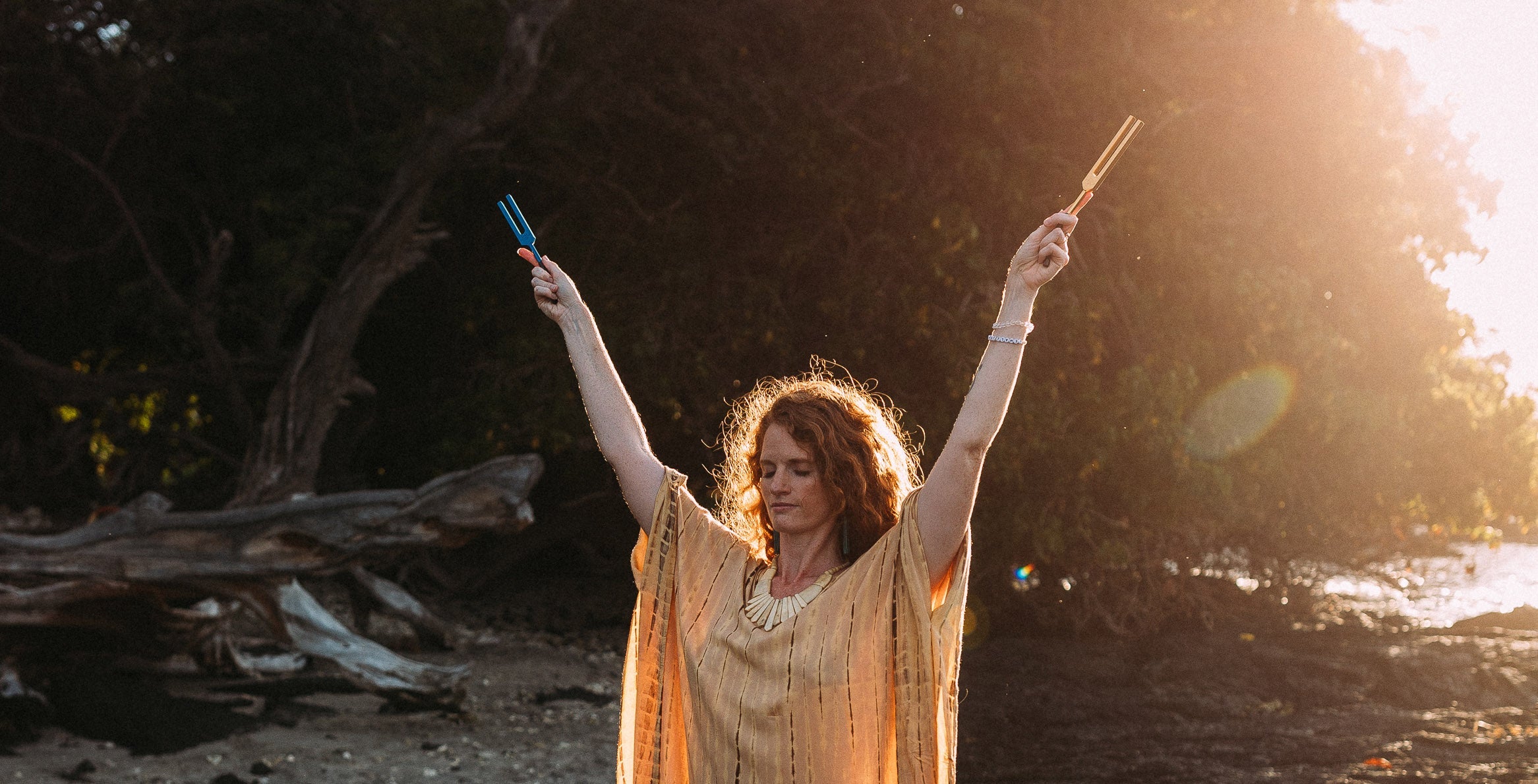 Season of Light Sale!