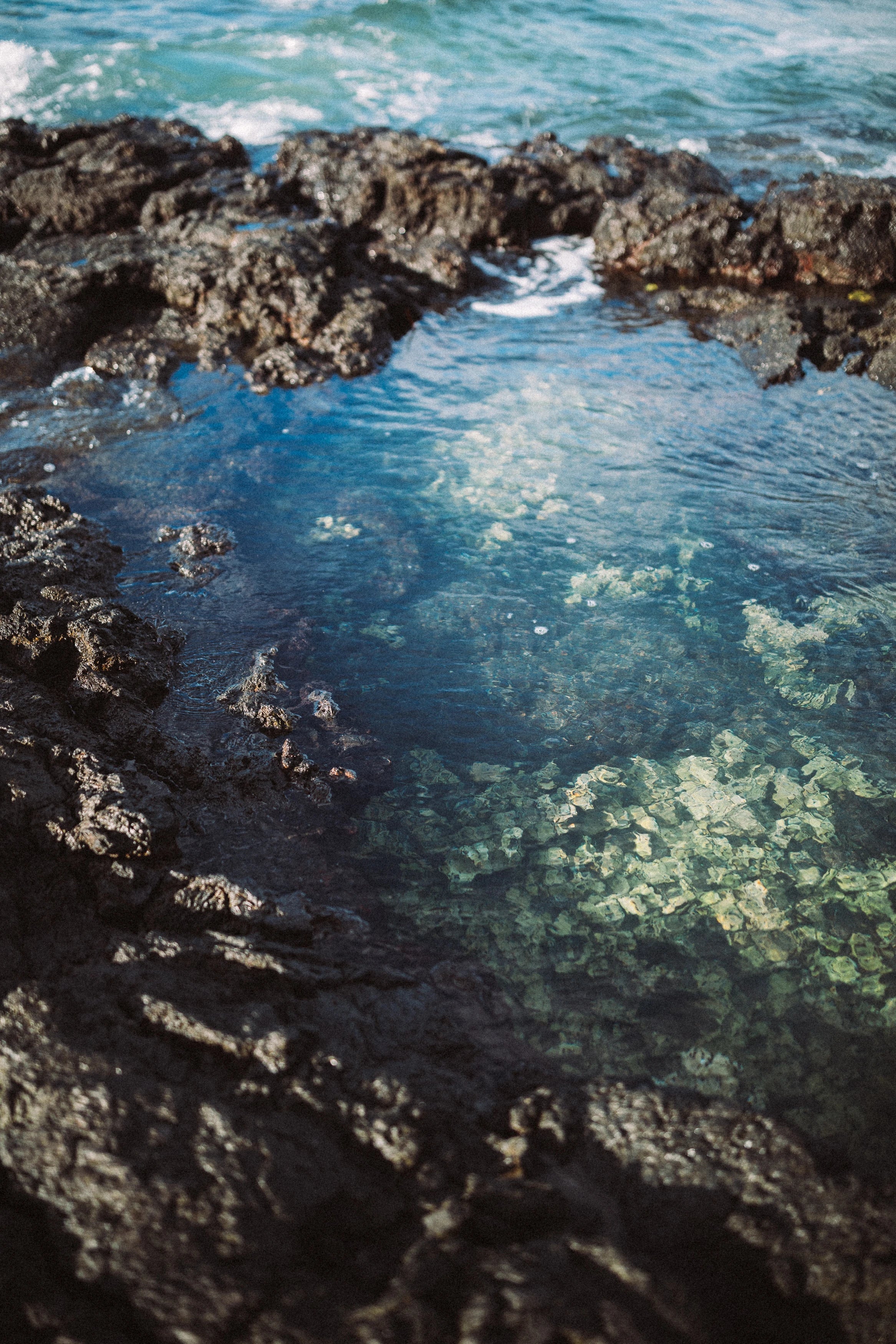 CD's, Books, and Audio Collections