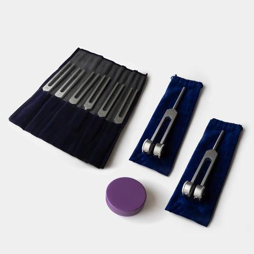 Brain/Body Connection Training Kit & Course