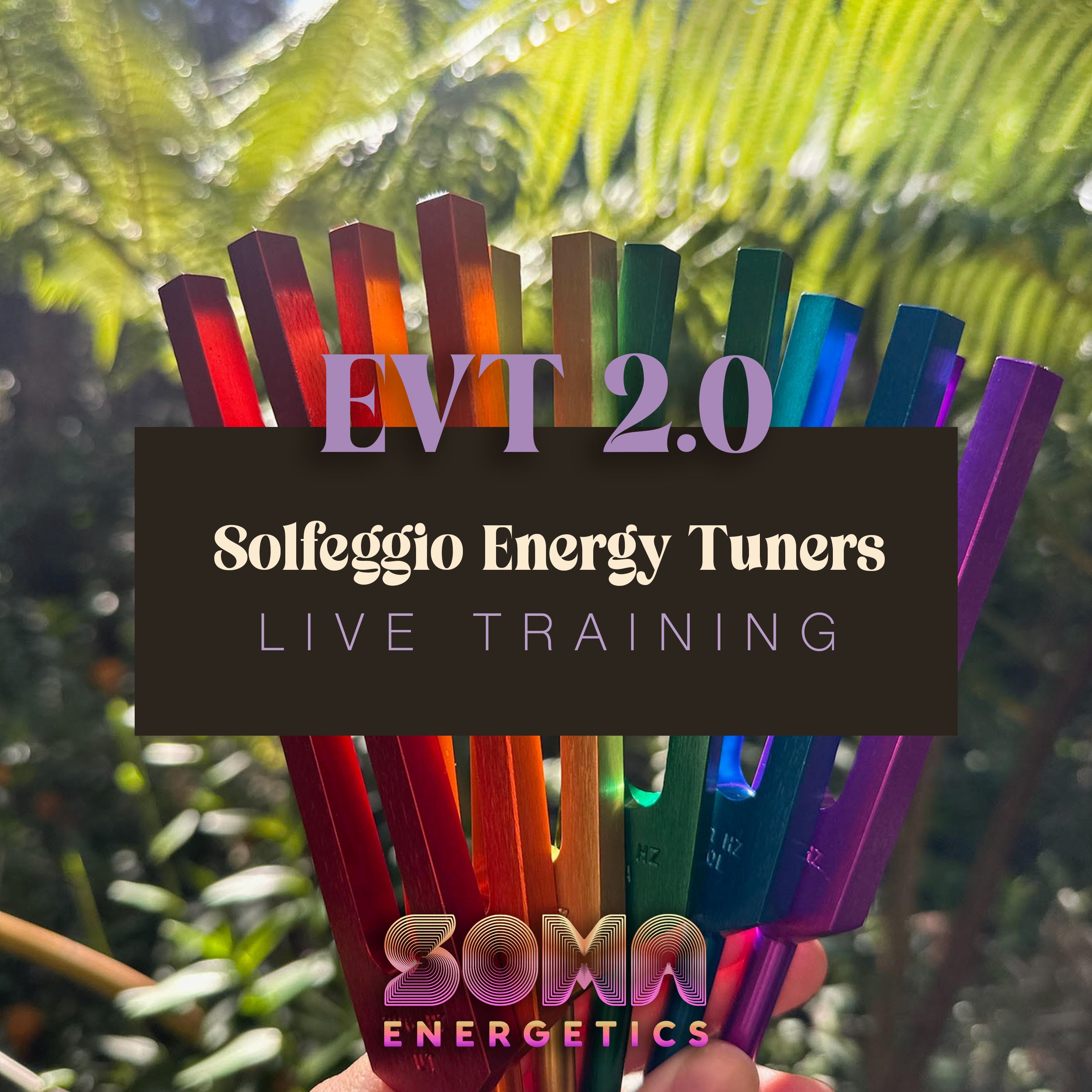 SOUND HEALING TRAINING - TUNING FORKS – SomaEnergetics Sound Tools