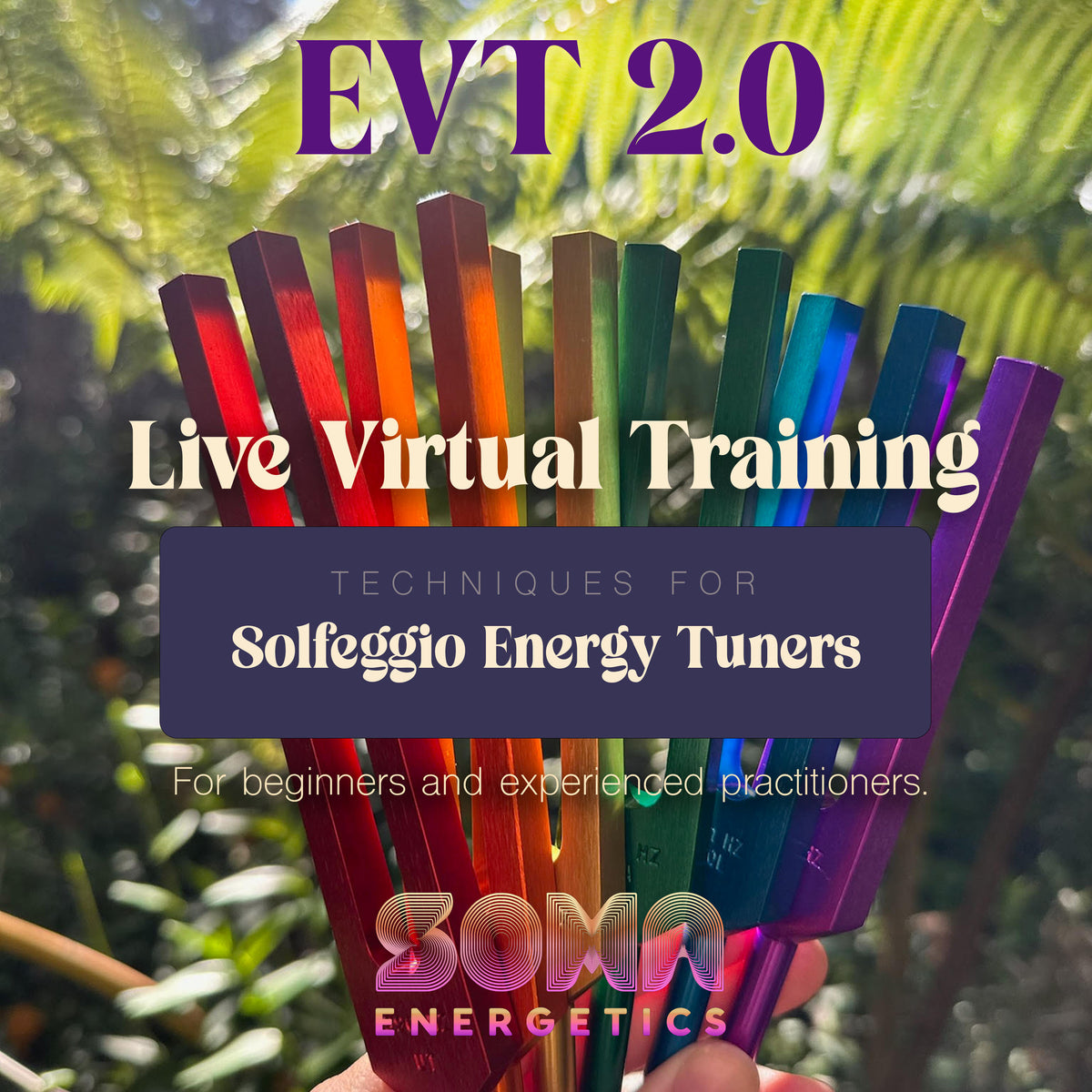 Energy Vitality Technique 2.0 - Live Expansion Course!