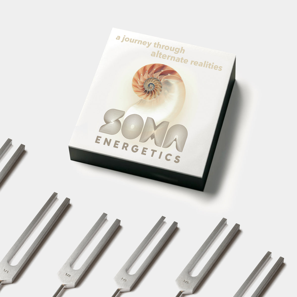 Fibonacci Tuning Fork Training Kit - Set of 8 with Online Course