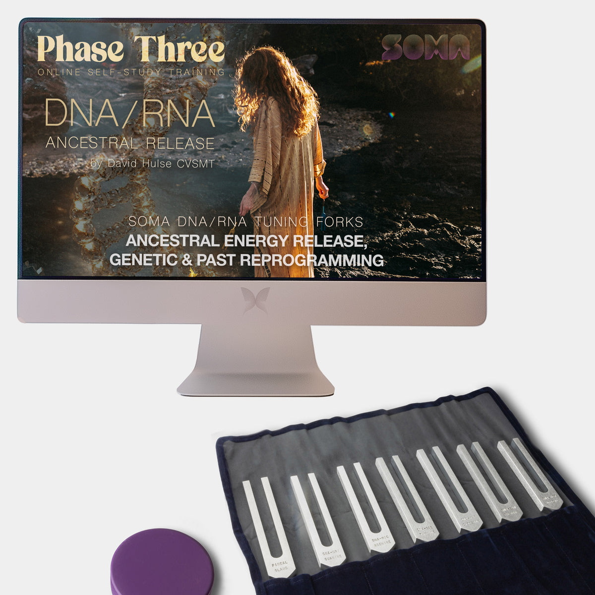 T3C - Phase 3 Starter Kit: Phase 3 Self-Study Course &amp; DNA Fork Set