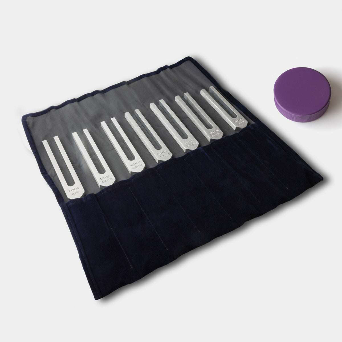 T3B - DNA/RNA Tuning Fork Kit with Angels Course