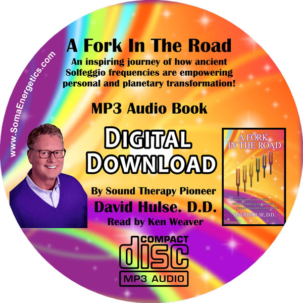 AUDIOBOOK - &quot;A Fork in the Road&quot; by David Hulse