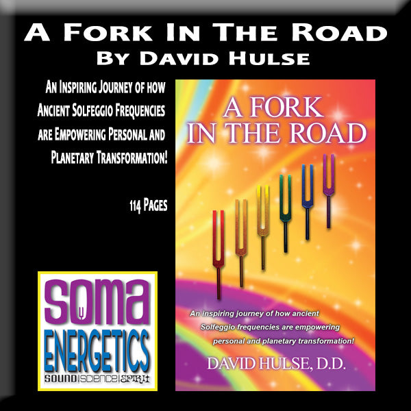A Fork In The Road Book by David Hulse - SomaEnergetics Sound Tools &amp; Training