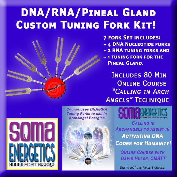 T3B - DNA/RNA Tuning Fork Kit with Angels Course
