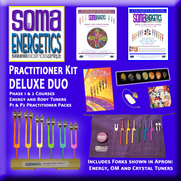 T4E: Practitioner Duo Deluxe Kit: Practitioner Duo and Practitioner Pack Duo