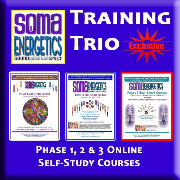 T5C: Coach Trio Kit: Energy, Body, DNA  Tuners Sets, Phase 1, 2 &amp; 3 Self Study Courses